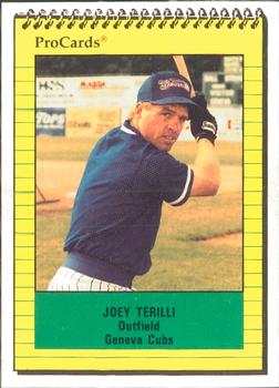 1991 ProCards #4232 Joey Terilli Front