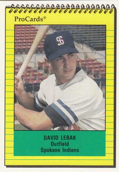 1991 ProCards #3960 David Lebak Front
