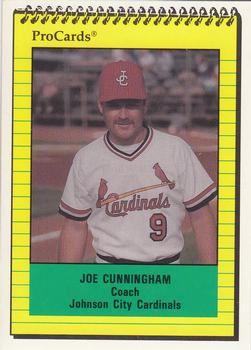 1991 ProCards #4172 Joe Cunningham Front