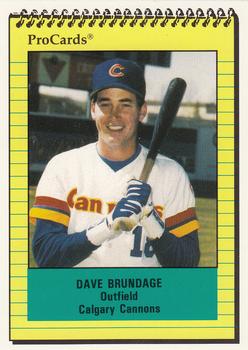 1991 ProCards #525 Dave Brundage Front