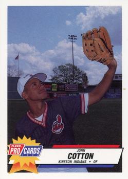 1993 Fleer ProCards Carolina League All-Stars #CAR-27 John Cotton Front