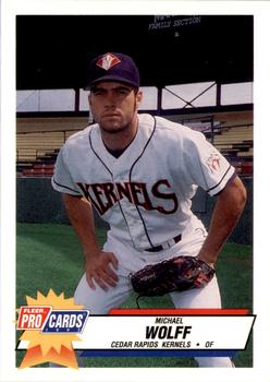 1993 Fleer ProCards Midwest League All-Stars #MDW-37 Michael Wolff Front