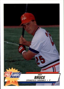 1993 Fleer ProCards Midwest League All-Stars #MDW-49 Andy Bruce Front