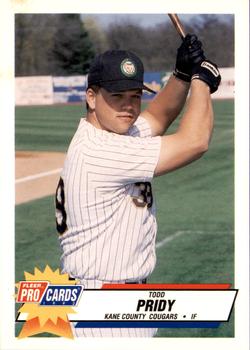 1993 Fleer ProCards #924 Todd Pridy Front