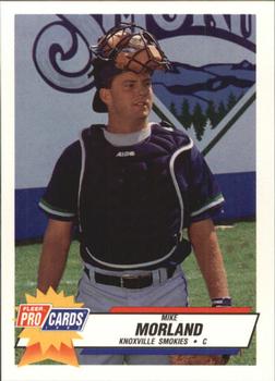 1993 Fleer ProCards #1254 Mike Morland Front