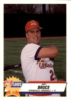 1993 Fleer ProCards #1856 Andy Bruce Front