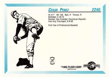 1993 Fleer ProCards #2246 Cesar Perez Back