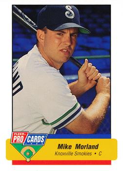 1994 Fleer ProCards #1307 Mike Morland Front