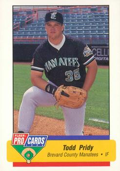 1994 Fleer ProCards #20 Todd Pridy Front