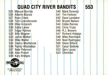 1994 Fleer ProCards #553 Quad City River Bandits Checklist Back