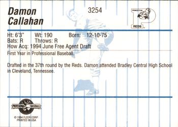 1994 Fleer ProCards #3254 Damon Callahan Back