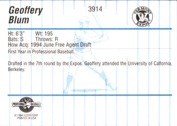 1994 Fleer ProCards #3914 Geoffrey Blum Back