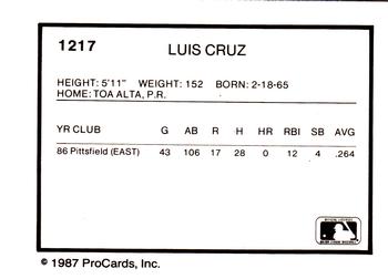 1987 ProCards #1217 Luiz Cruz Back