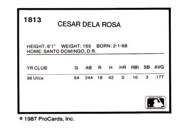 1987 ProCards #1813 Cesar de la Rosa Back