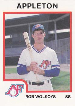 1987 ProCards #533 Rob Wolkoys Front