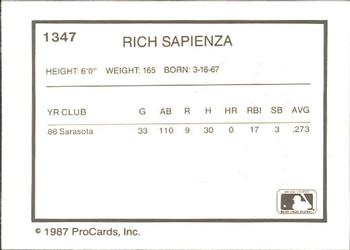 1987 ProCards #1347 Rich Sapienza Back