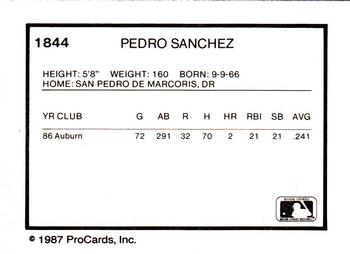 1987 ProCards #1844 Pedro Sanchez Back