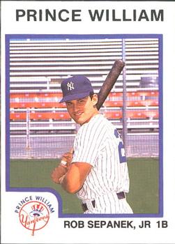 1987 ProCards #2263 Rob Sepanek Front