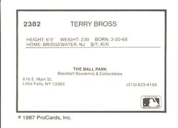 1987 ProCards #2382 Terry Bross Back