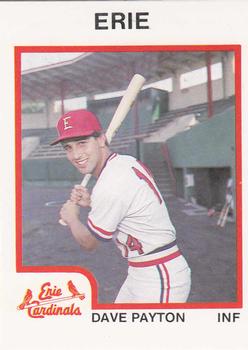 1987 ProCards #2586 Dave Payton Front