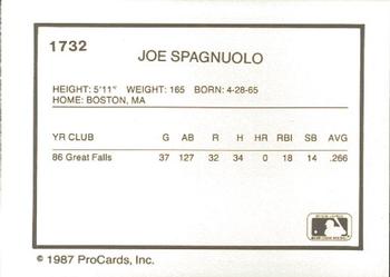 1987 ProCards #1732 Joe Spagnuolo Back
