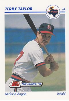 1991 Line Drive AA #447 Terry Taylor Front
