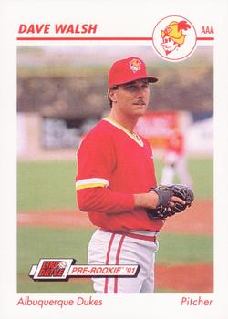 1991 Line Drive AAA #22 Dave Walsh Front