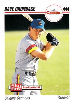 1992 SkyBox AAA #26 Dave Brundage Front