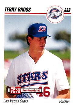 1992 SkyBox AAA #111 Terry Bross Front