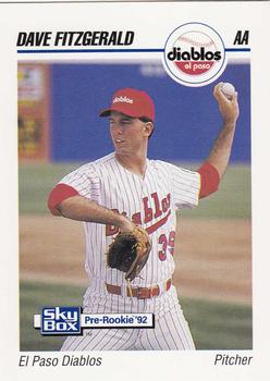 1992 SkyBox Team Sets AA #210 Dave Fitzgerald Front
