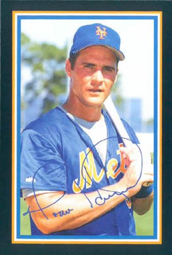 1996 Marc S. Levine New York Mets Photocards #NNO Todd Hundley Front