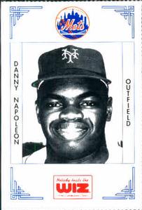 1991 The Wiz New York Mets #292 Dan Napoleon Front