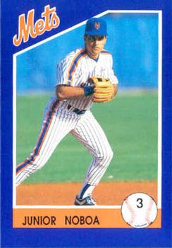 1992 Kahn's New York Mets #NNO Junior Noboa Front