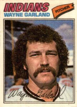 1977 Topps Cloth Stickers #17 Wayne Garland Front