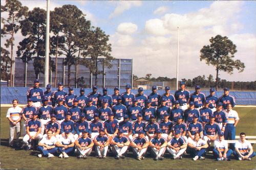 1991 Barry Colla New York Mets Postcards #291 Team Photo Front