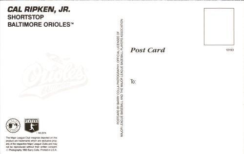 1993 Barry Colla Postcards #10193 Cal Ripken, Jr. Back