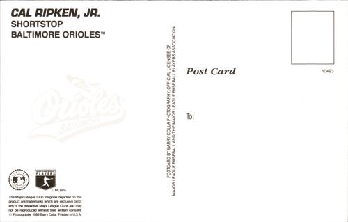 1993 Barry Colla Postcards #10493 Cal Ripken, Jr. Back