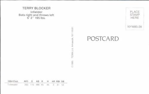 1985 TCMA New York Mets Postcards #NYM85-28 Terry Blocker Back