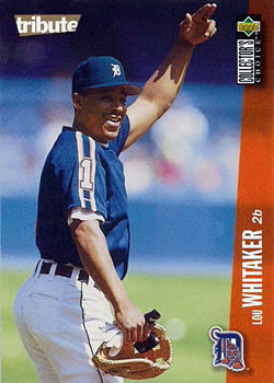 1996 Collector's Choice #144 Lou Whitaker Front