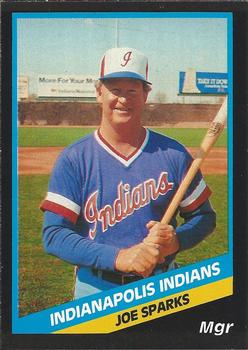 1988 CMC Indianapolis Indians #24 Joe Sparks Front