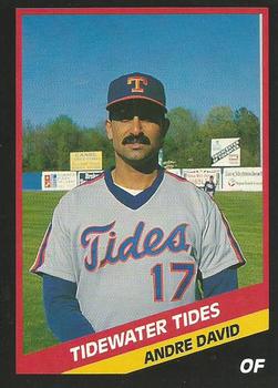 1988 CMC Tidewater Tides #18 Andre David Front