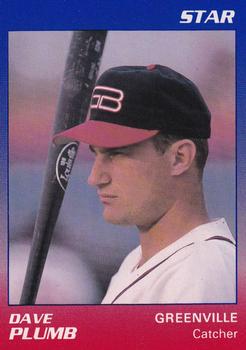 1989 Star Greenville Braves #17 Dave Plumb Front
