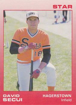 1988 Star Hagerstown Suns #19 David Segui Front