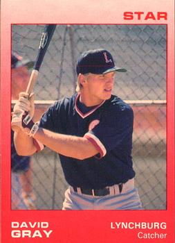 1988 Star Lynchburg Red Sox #7 David Gray Front