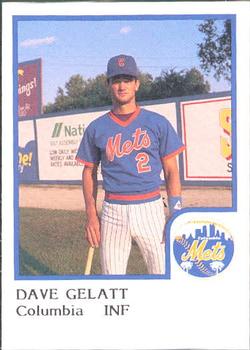 1986 ProCards Columbia Mets #10 Dave Gelatt Front