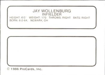 1986 ProCards Macon Pirates #26 Jay Wollenburg Back