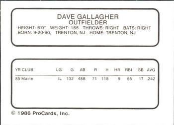 1986 ProCards Maine Guides #NNO Dave Gallagher Back
