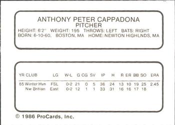 1986 ProCards New Britain Red Sox #NNO Pete Cappadona Back