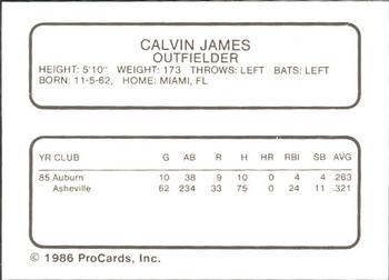 1986 ProCards Osceola Astros #NNO Calvin James Back