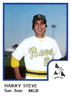 1986 ProCards San Jose Bees #19 Harry Steve Front